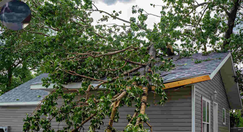 does house insurance cover wind damage to roof