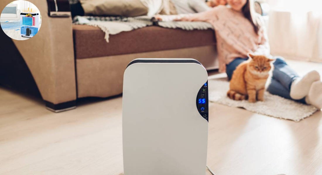 does a dehumidifier help cool your house