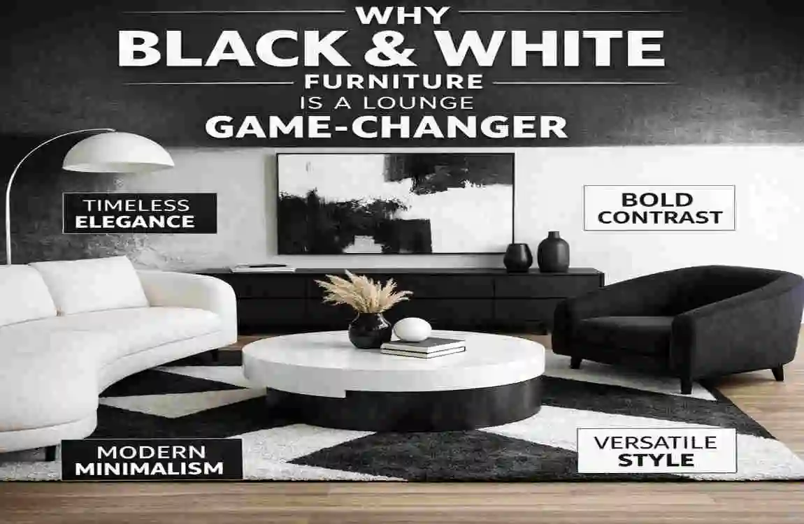 black and white furniture in lounge at home