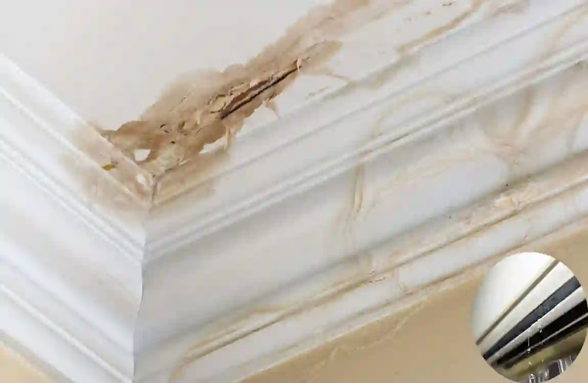 AC Leaking Water in House